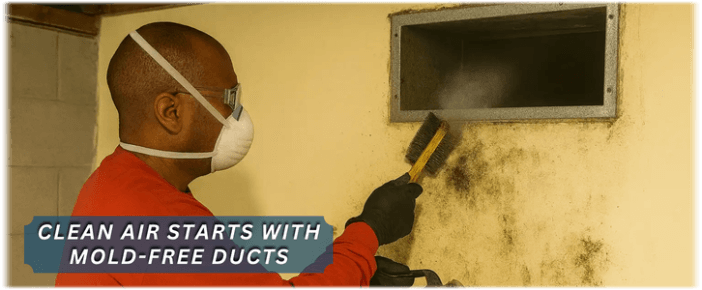 Air Duct Mold Removal in Temecula