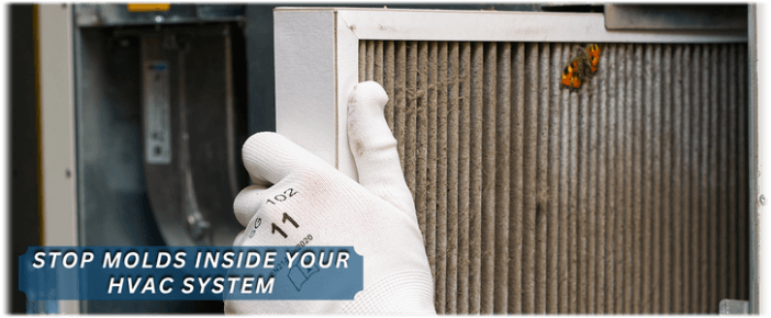 HVAC Mold Removal Temecula